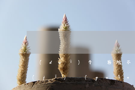 對(duì)于檢察院不起訴的案件公安機(jī)關(guān)應(yīng)如何處理？